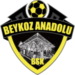 Бейкоз Anadolu