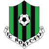 Рокицаны